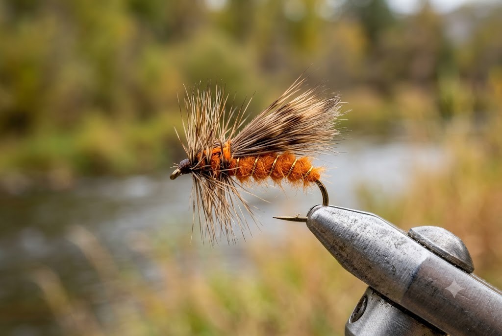 October Caddis